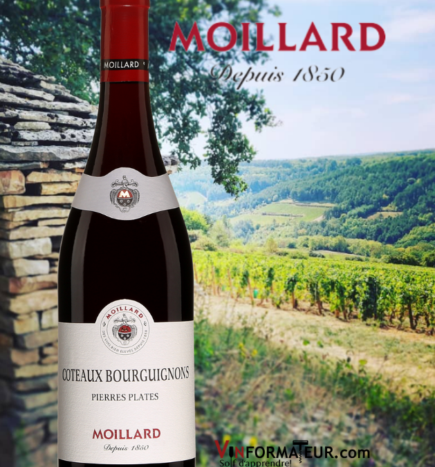 Très belle découverte que ce Coteaux Bourguignons Moillard 2019!