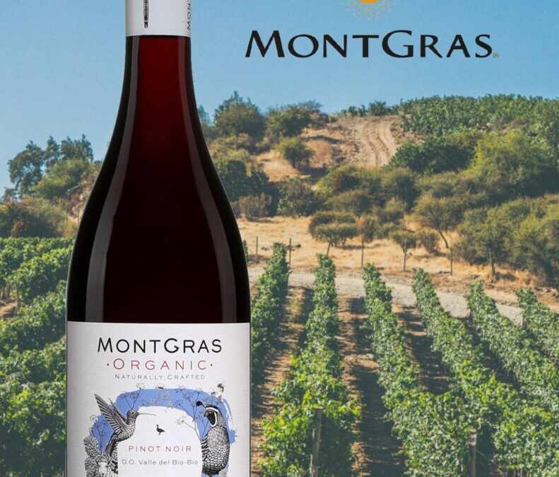 Très beau Pinot Noir bio du Chili! Montgras, Organic.