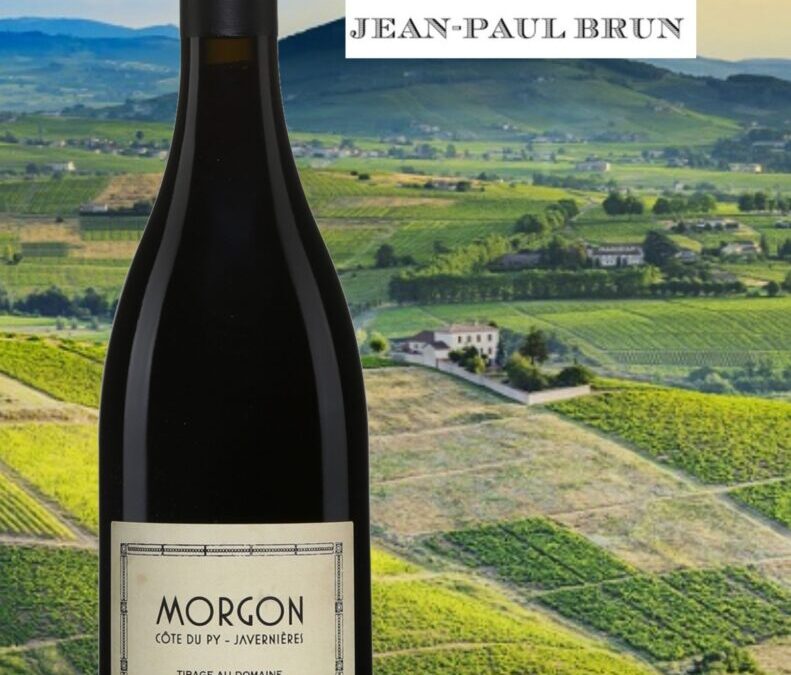 Coup de Coeur à ne pas manquer! Jean-Paul Brun, Beaujolais, Morgon, Côte du Py/Javernières 2020.