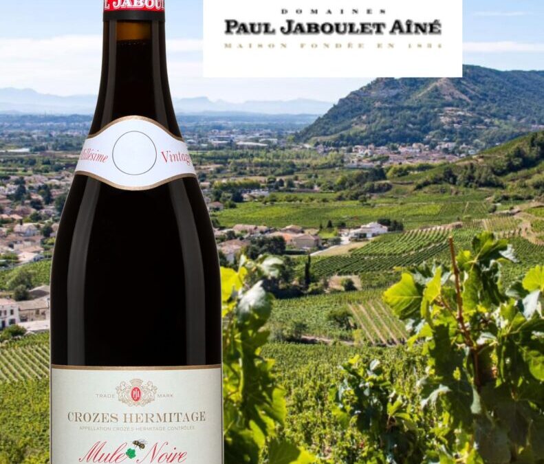 Coup de cœur que ce Crozes-Hermitage complexe et raffiné! Mule Noire, Paul Jaboulet Aîné 2020.