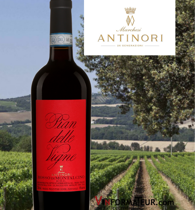 Coup de Coeur! Pian delle Vigne, Rosso di Montalcino, Marchesi Antinori 2019