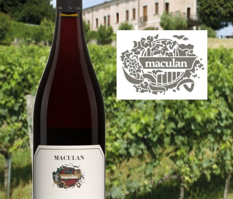 Un Pinot Nero de Breganze tout en fraîcheur! Maculan 2020.