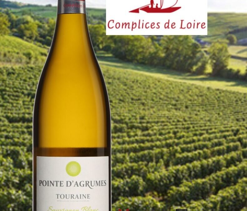 Pointe d’agrumes, vin blanc d&rsquo;une fraîcheur étonnante de Touraine.