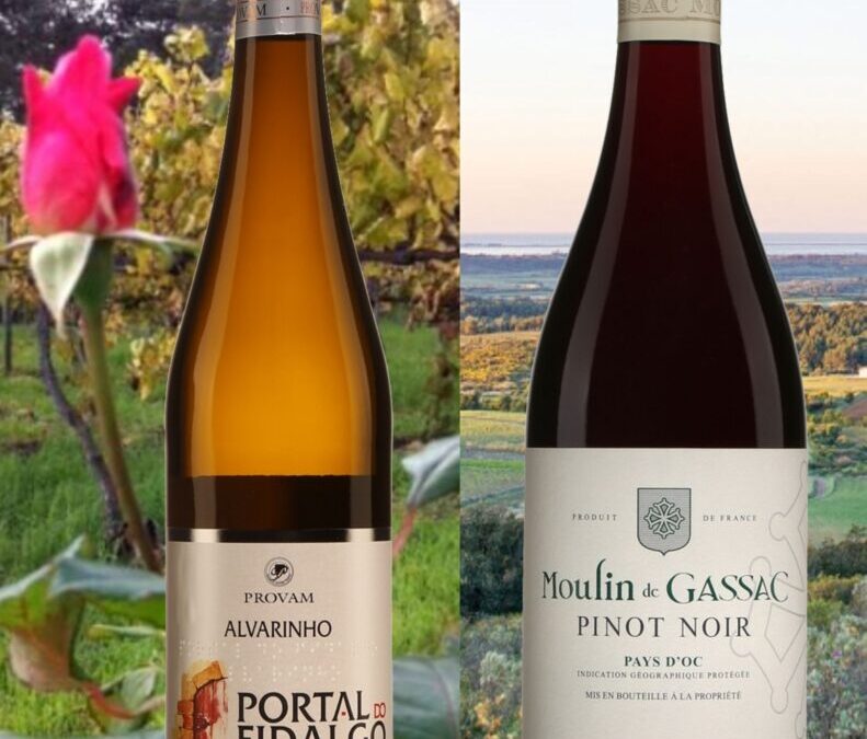 Deux délicieux vins rouge et blanc qui vous sortiront des sentiers battus!