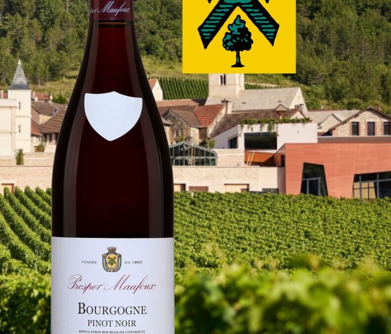 Pinot Noir, Bourgogne, Prosper Maufoux 2021.