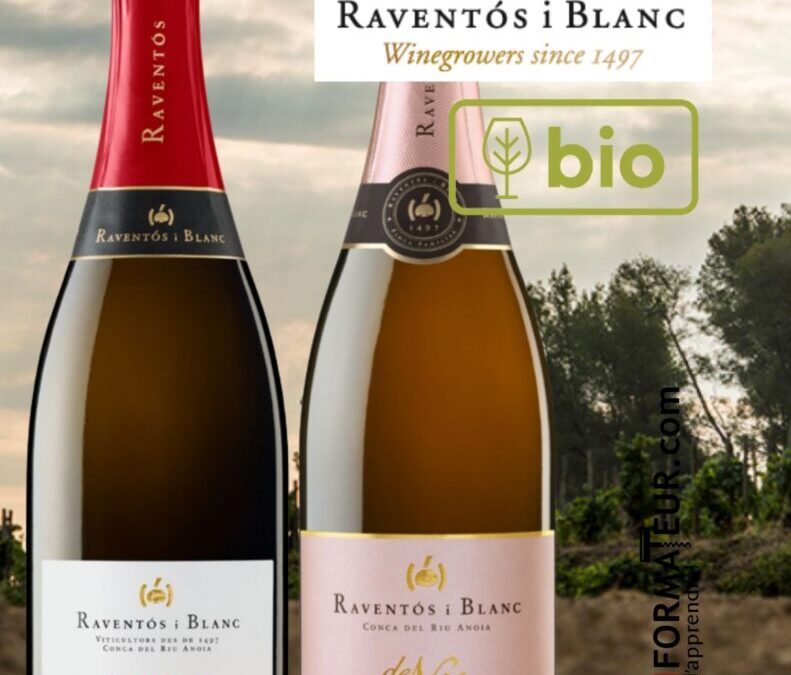 Deux vins mousseux d’Espagne de qualité exceptionnelle! De la maison Raventos i Blanc.