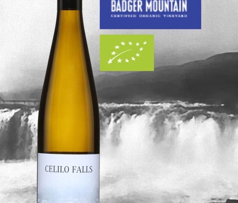 Un très beau Riesling bio de Washington. Celilo Falls 2021.