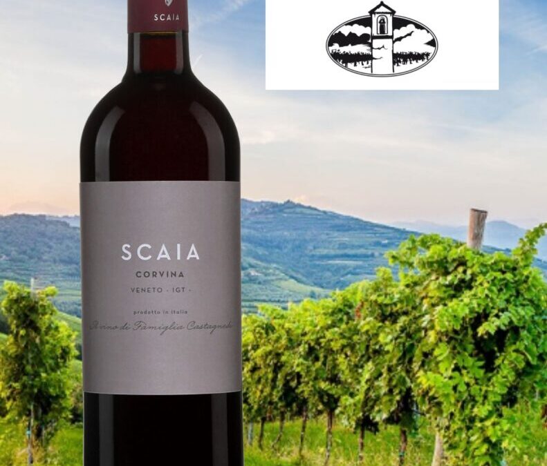 Un vin de Corvina d’une sapidité étonnante! Scaia 2019.