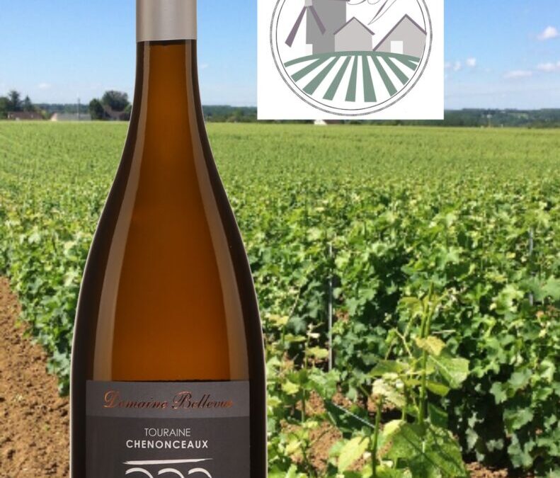 Un très beau Sauvignon blanc de Touraine Chenonceaux riche et d’une belle matière. Silex des Martinières 2021.