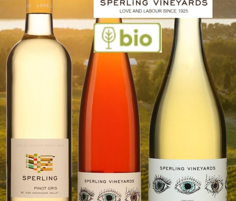 Découvrez les vins bio étonnants de la maison Sperling Vineyards!