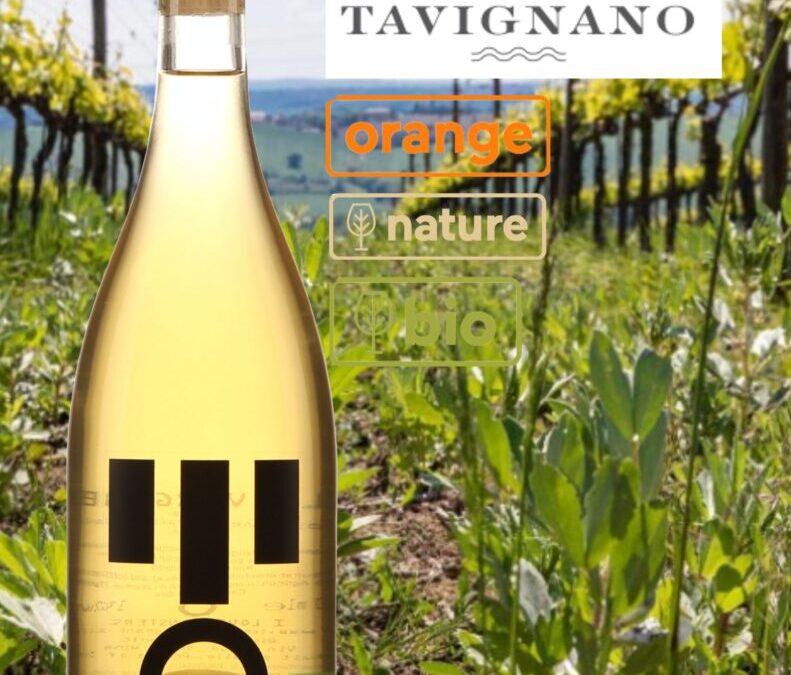 Un beau vin orange, nature et bio! Tavignano 2021.