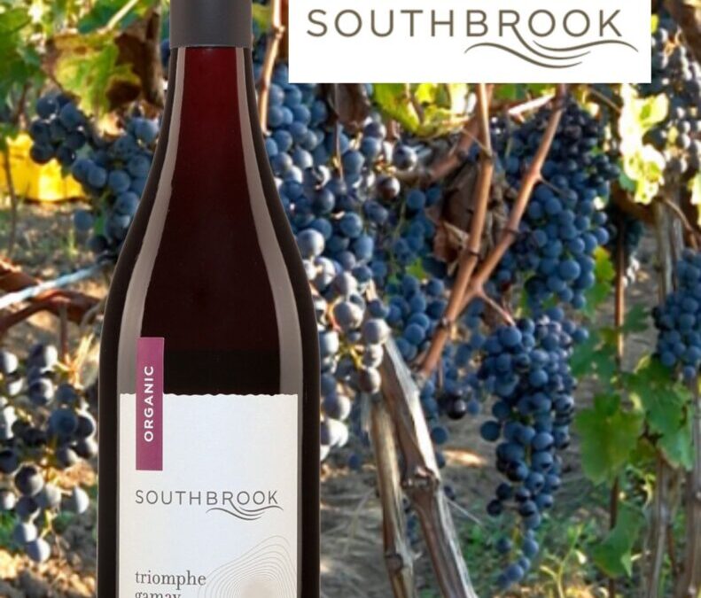 Un vin bio qui tire son épingle du jeu! Gamay, Southbrooks 2019.