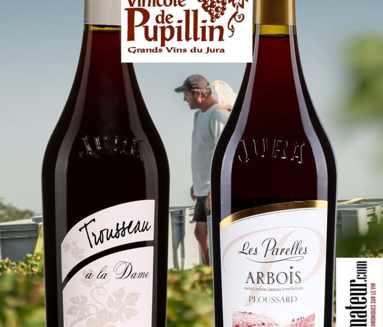 Vive le changement avec ces deux vins rouges du Jura! Trousseau 2020 et Les Parelles Arbois Ploussard.