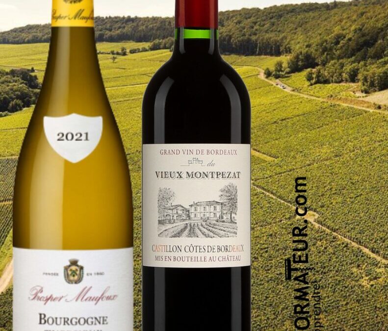 Un rouge de Bordeaux et un blanc de Bourgogne à ne pas manquer!