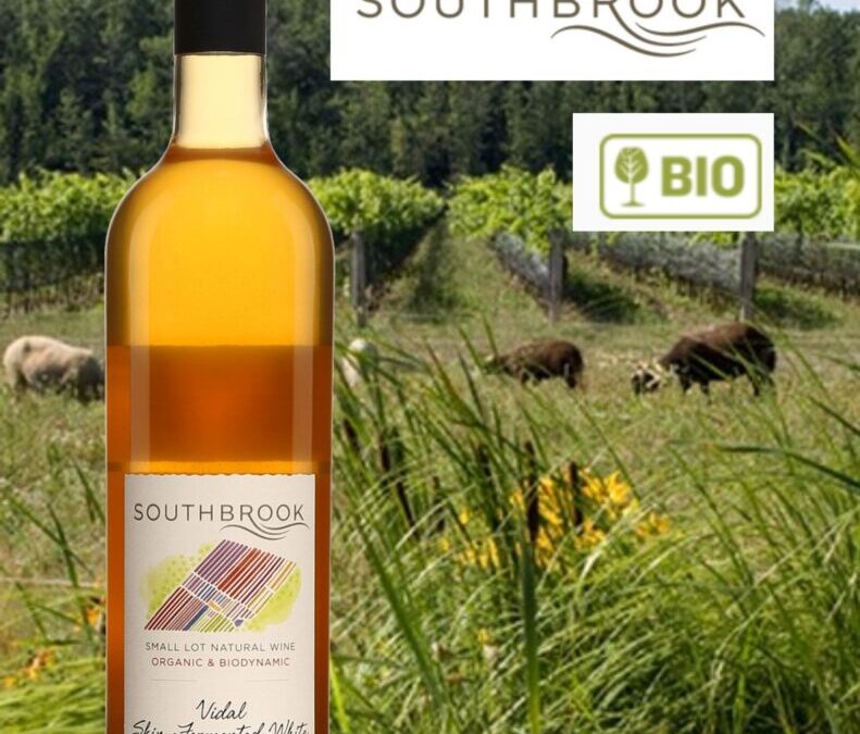 Très beau vin orange bio! Southbrook 2019