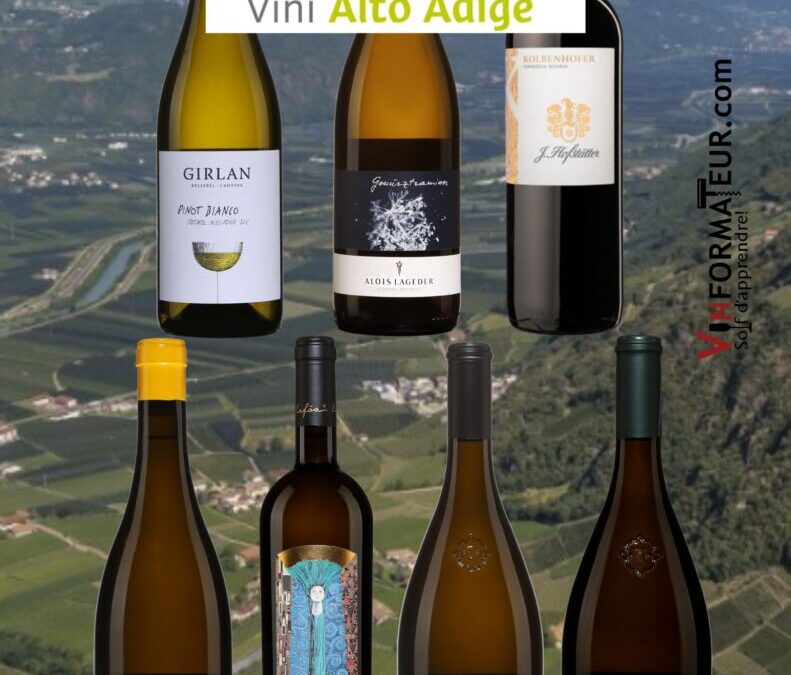 Découvrez les magnifiques vins du nord-est de l’Italie, la région d’Alto Adige.