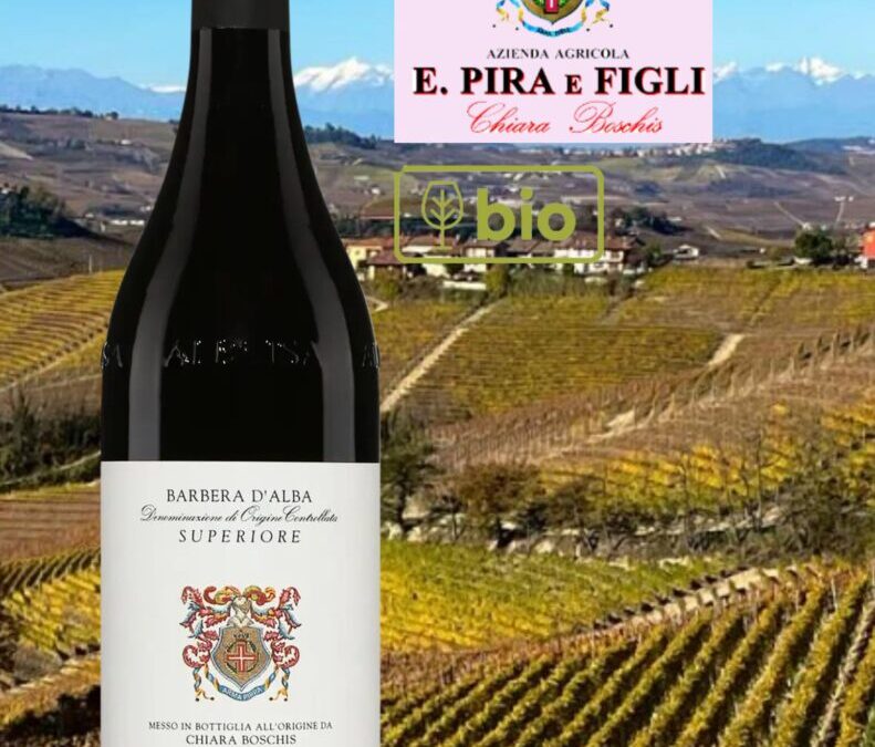 Coup de cœur que ce vin rouge bio Barbera D’Alba Superiore, E.Pira & Figli 2021.