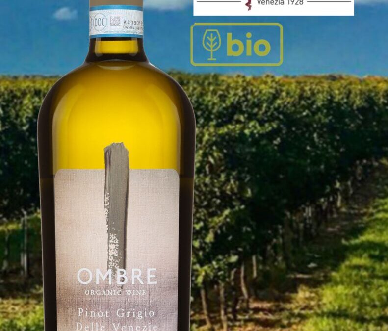 Coup de Coeur que ce Pinot Grigio bio Ombre 2021.
