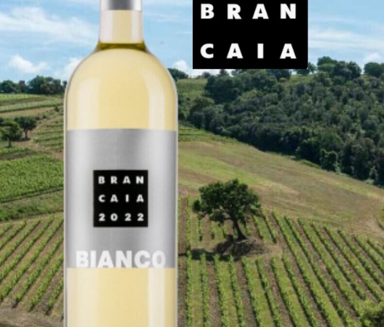 Une valeur sûre! Sauvignon blanc, Brancaia, Il Bianco, 2022.