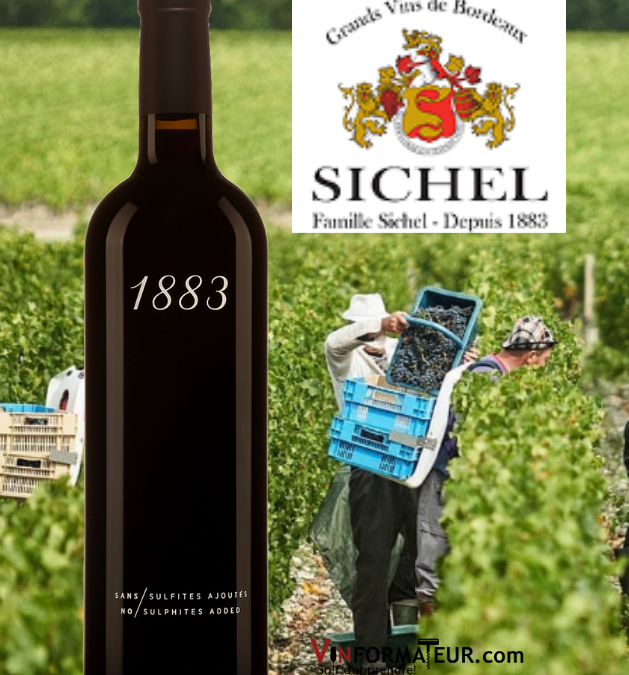 Vraiment étonnant ce Bordeaux 1883 sans sulfites ajoutés!