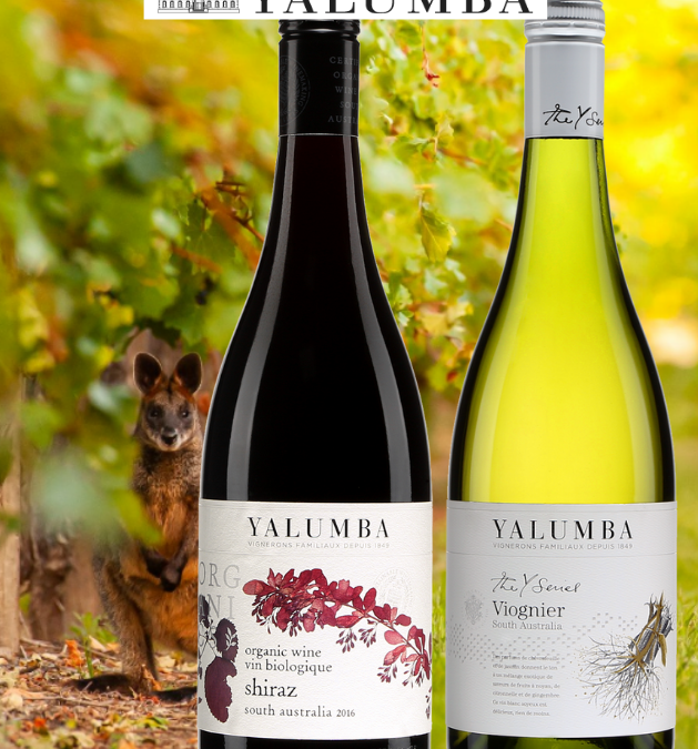 Deux vins charmeurs bâtis pour plaire! Yalumba Viognier et Shiraz d’Australie.