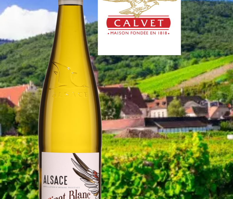 Découvrez ce Pinot Blanc de la maison Calvet!