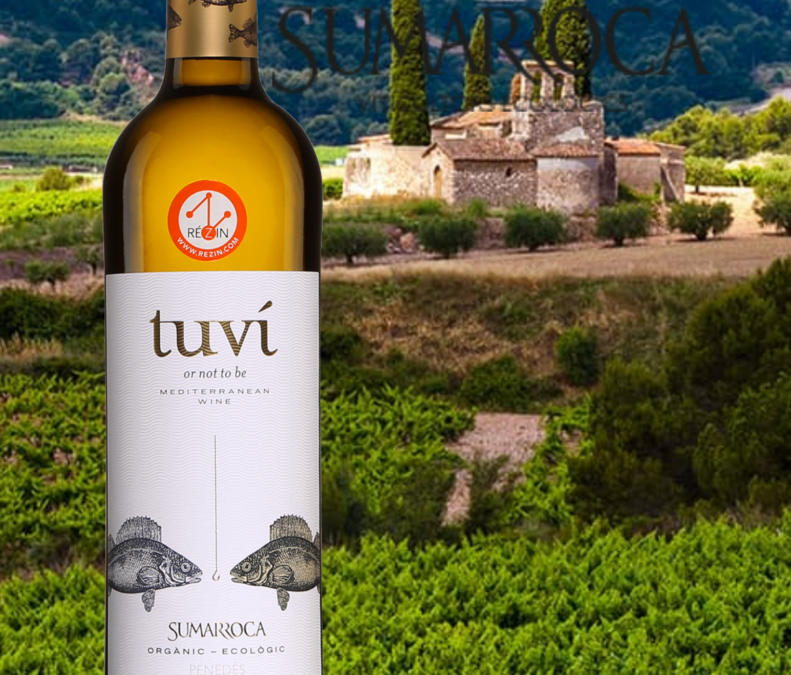 Tuvi, vin blanc bio d’Espagne! Charmeur, il plaira à tous!