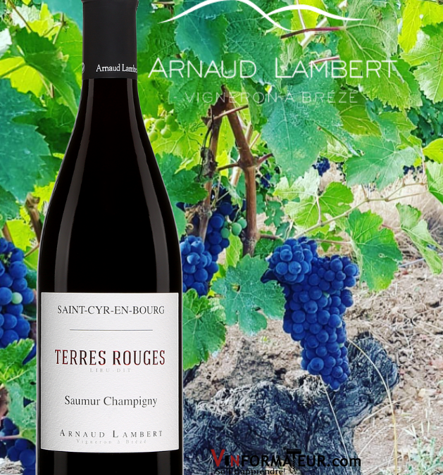 Coup de Coeur! Terres Rouges, Saint-Cyr-en-Bourg, Cabernet franc, 2019.