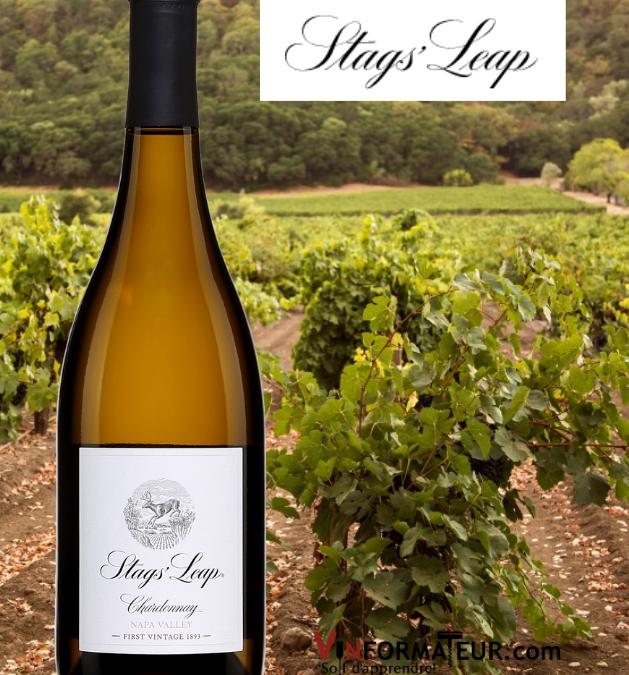 Stags’ Leap. Très belle expression du Chardonnay de Napa Valley!