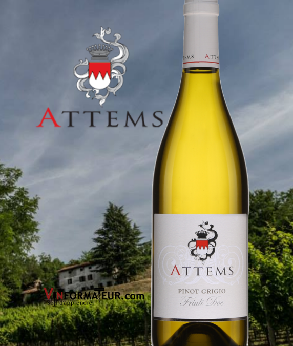 Difficile de faire mieux que ce Pinot Grigio Attems 2019!