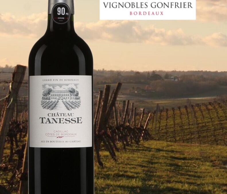 On profite de ce Château Tanesse 2016!
