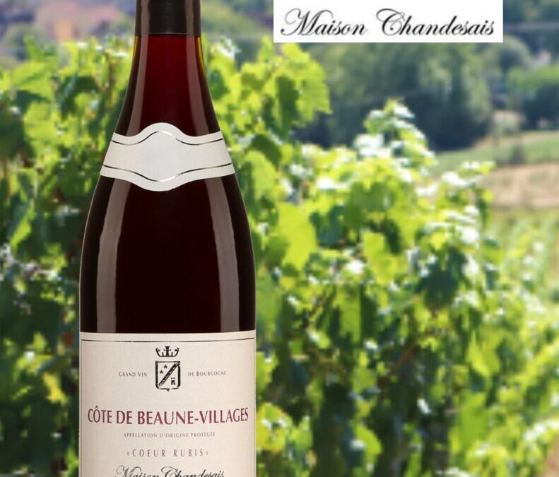 Coeur Rubis, Côte de Beaune-Villages, 2020.