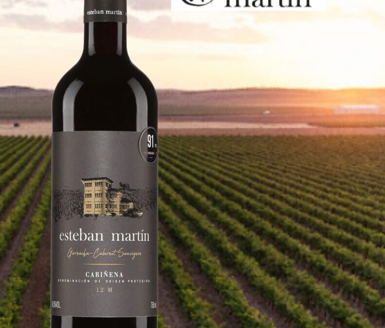 Un vin rouge qui offre un très bon rapport qualité/prix! Esteban Martin, Garnacha/Cab, 2019.