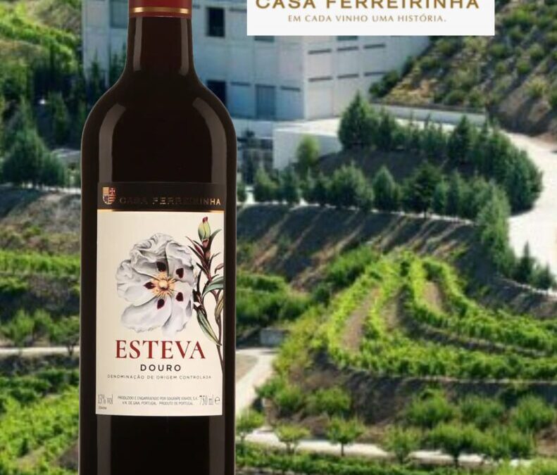 Un vin rouge du Portugal qui offre un excellent rapport qualité/prix. Esteva, Douro, 2021.