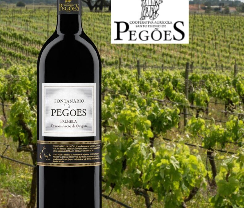 Fontanario de Pegoes. Un vin rouge portugais généreux et savoureux!