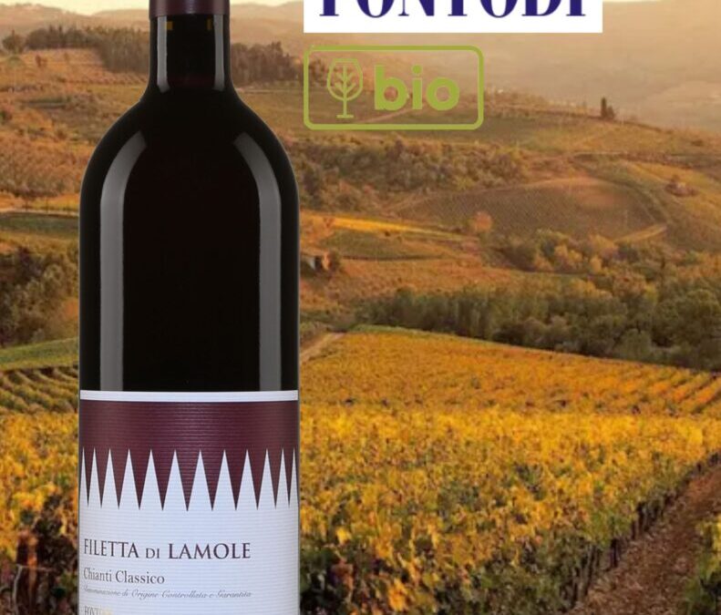 Coup de cœur! Fontodi, Filetta di Lamole, bio, 2020.