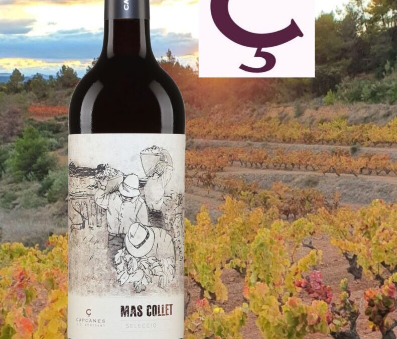Un vin rouge espagnol corsé, juteux et polyvalent. Le Mas Collet, Montsant DO 2021.
