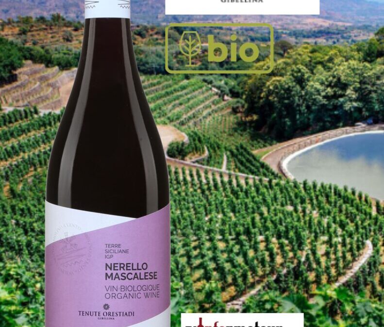 Coup de cœur que ce Nerello Mascalese de la Tenute Orestiadi!