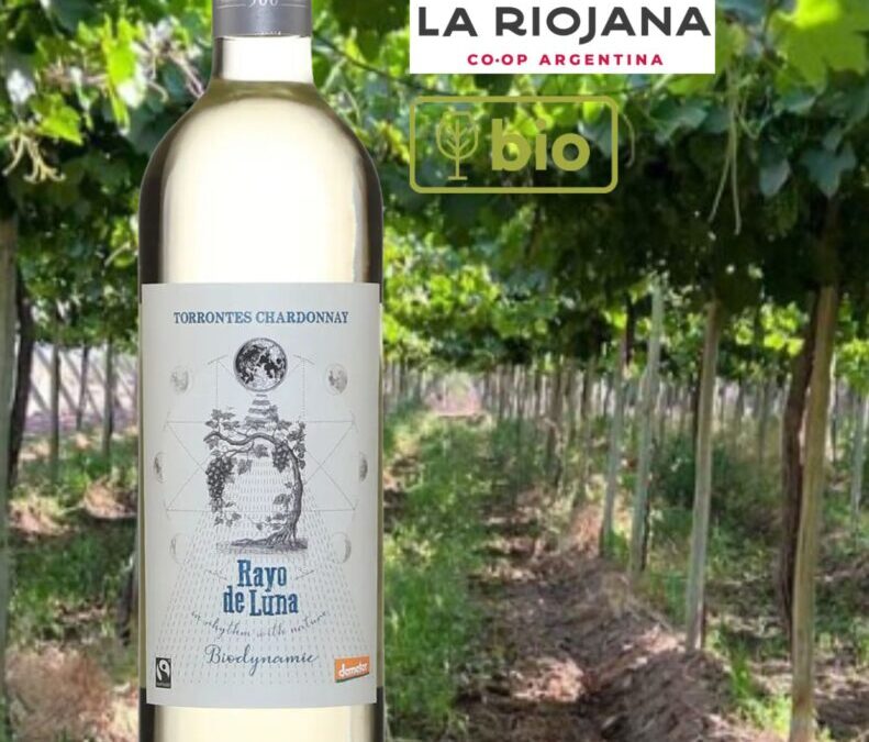 Ce vin blanc bio d’Argentine Rayo de Luna offre excellent rapport qualité/prix!