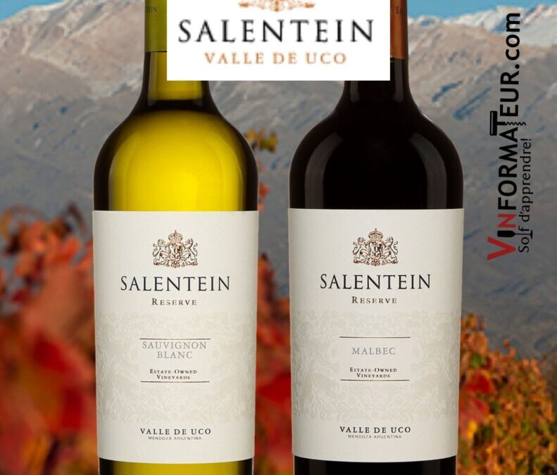 Deux vins d’Argentine de la Bodega Salentein.