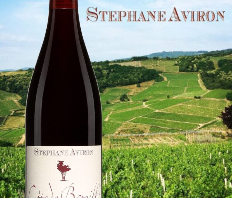 Coup de Coeur! Côte de Brouilly de Stéphane Aviron.