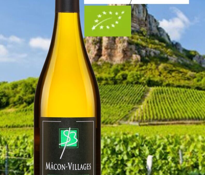 Coup de Coeur! Mâcon-Villages, Stéphane Brocard 2020.