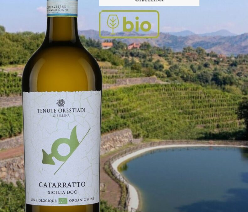 Goûteux et aromatique à souhait! Le vin blanc bio Catarratto de Tenute Orestiadi.