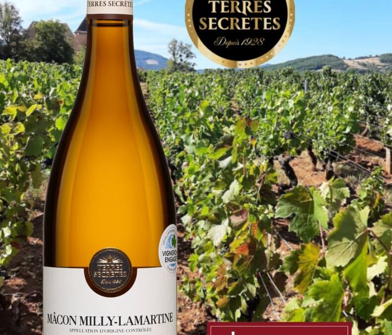 Un vin blanc du Mâconnais généreux, ample et riche. Terres Secrètes, Mâcon Milly-Lamartine, 2020.