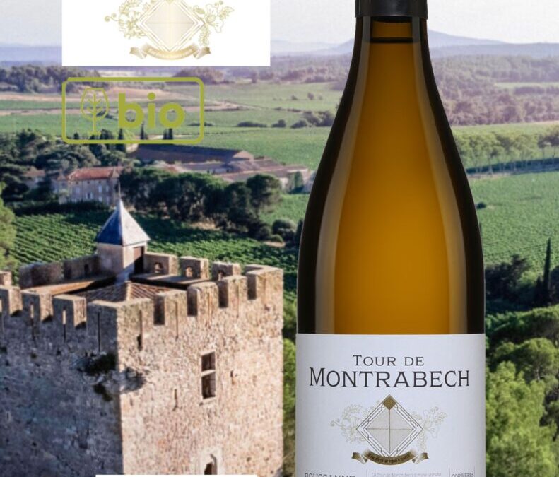 Coup de Coeur! Tour de Montrabech, Corbières, vin blanc bio, 2021. On en profite pendant qu’il y en a!