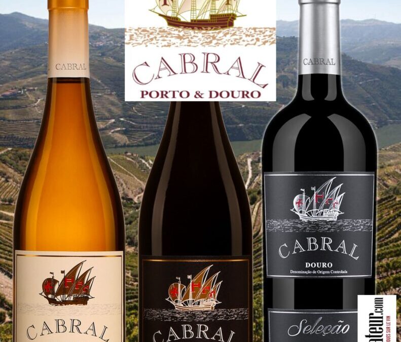Cabral: trois vins du Portugal qui offrent de très bons rapports qualité/prix.