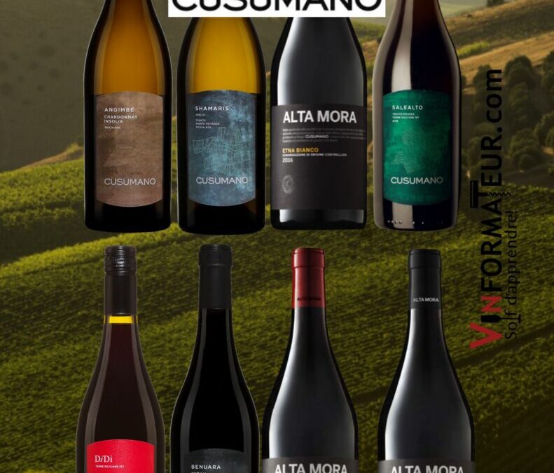 Les vins de Cusumano et Alta Mora: le renouveau de la Sicile.