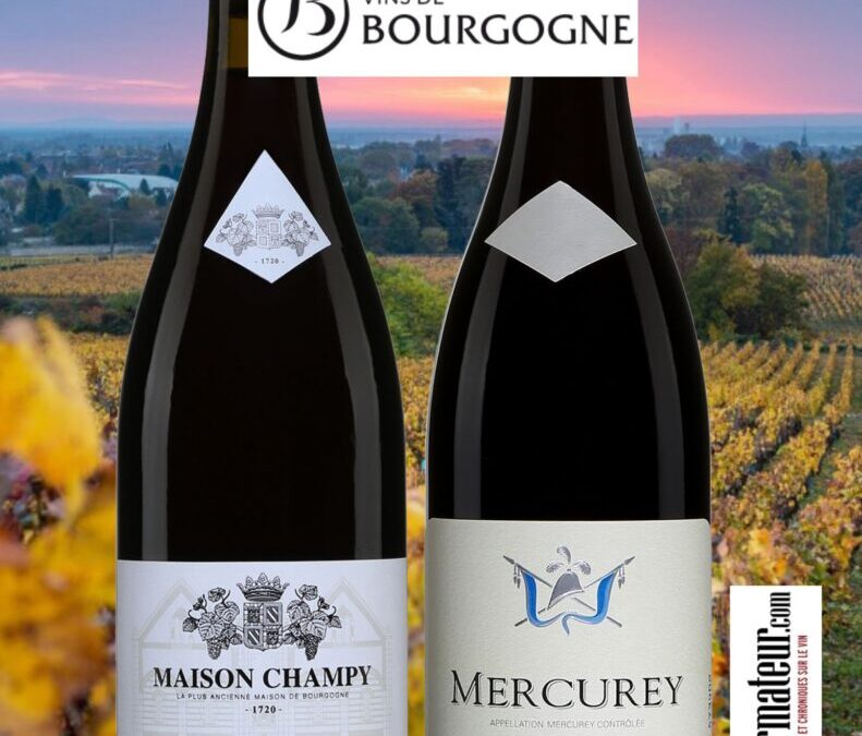 Deux très beaux Pinots Noirs de Bourgogne.
