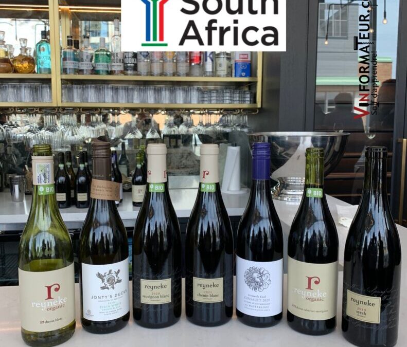 De très beaux vins bios d’Afrique du Sud!