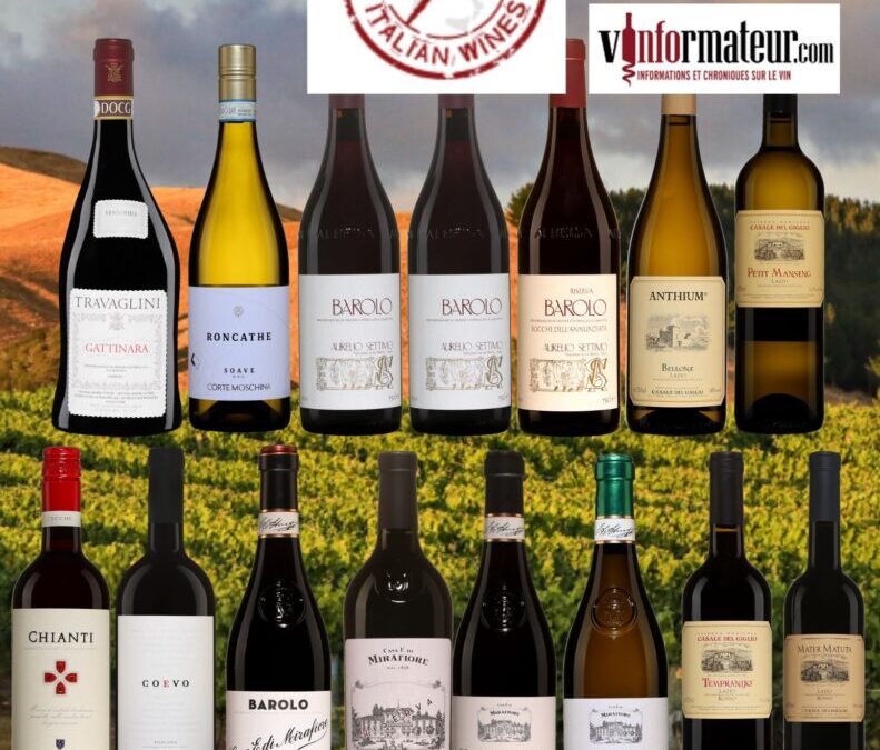 Voici des vins qui ont particulièrement retenu mon attention lors du salon des vins d’Italie!